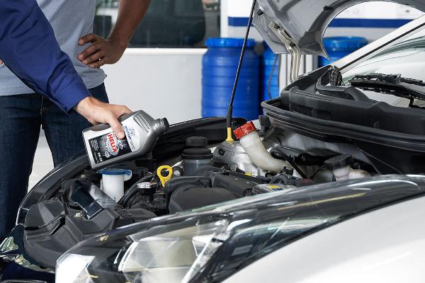 Revisões programadas